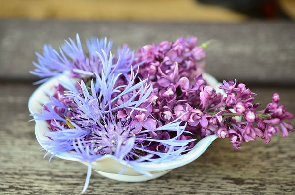 Na co zwrócić uwagę przy wyborze porcelany? Poradnik dla początkujących